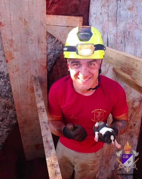 Bombeiros fazem resgate tendo de 7 cachorros dentro de vala enorme