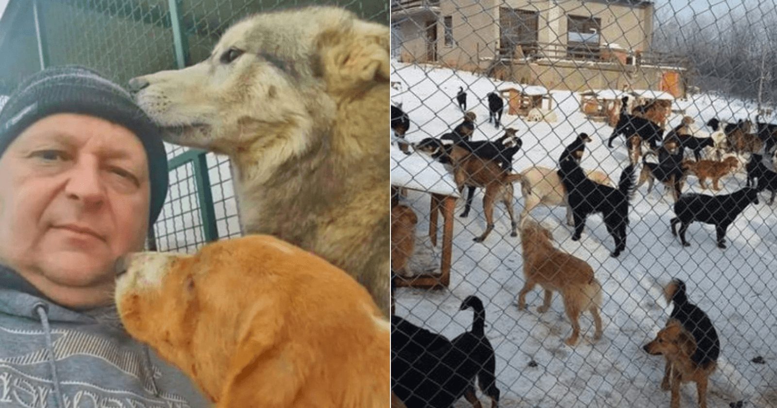 Por mais de 20 anos, homem acolhe animais abandonados e transforma suas vidas