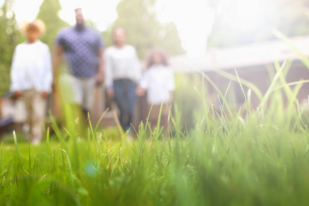 Formigas em casa? Esse inseto pode falar fortemente sobre sua vida espiritual!