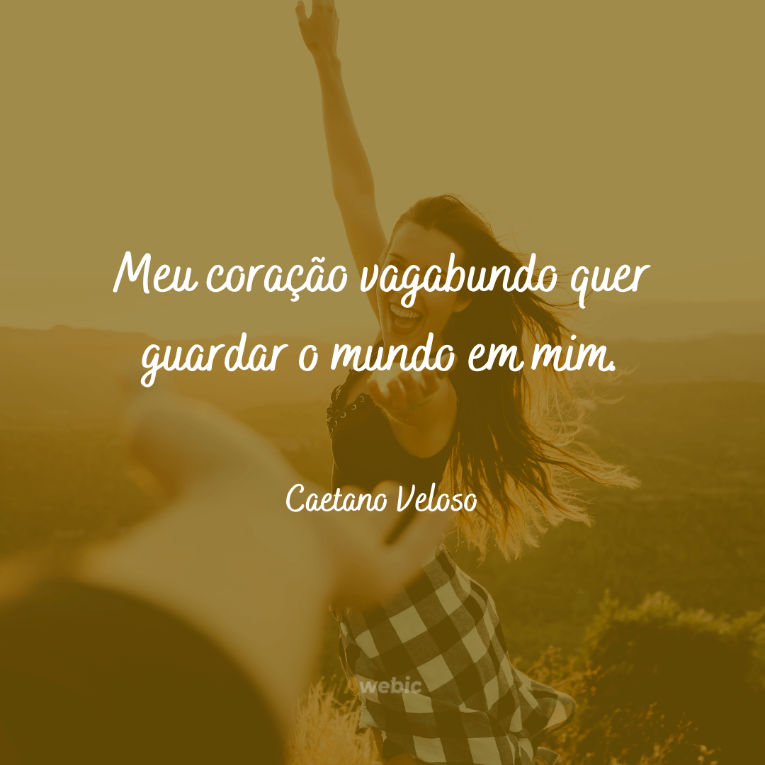 frases do Caetano Veloso