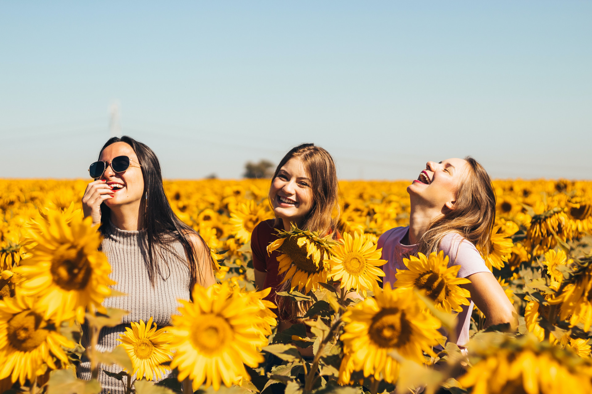 Amigas