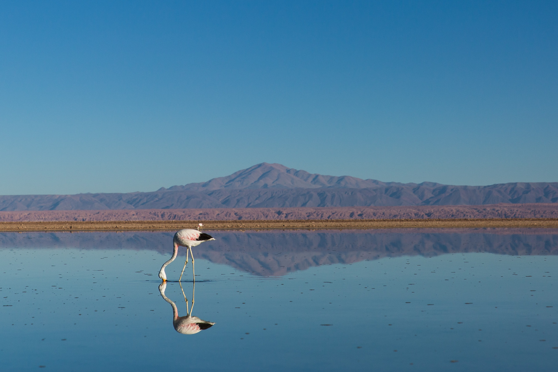 atacama