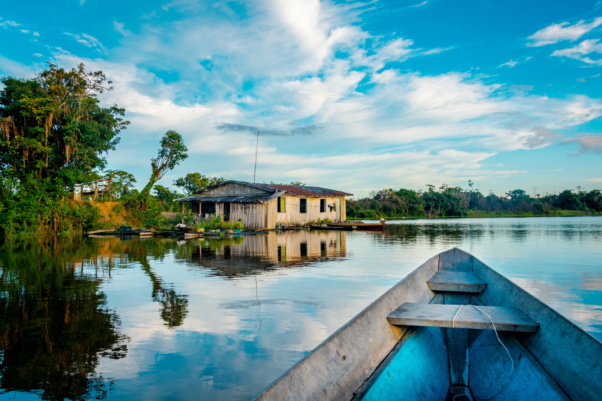 amazônia