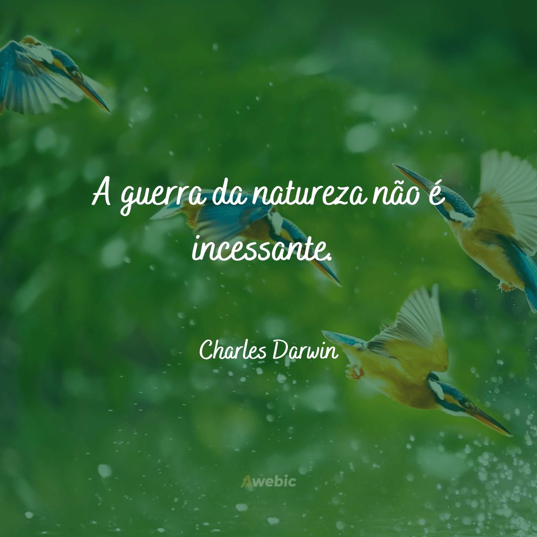 Frases de Charles Darwin