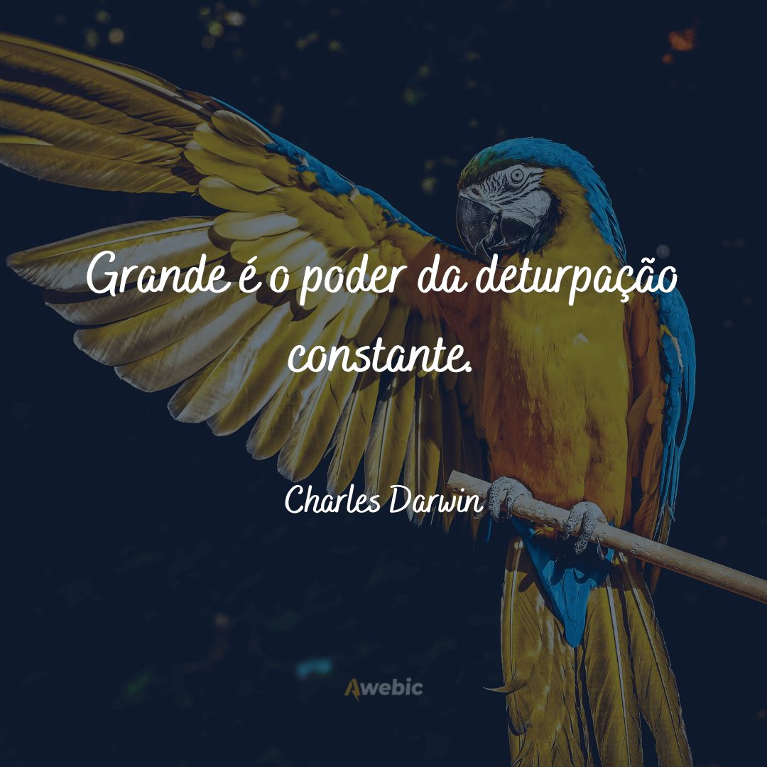 Frases de Charles Darwin