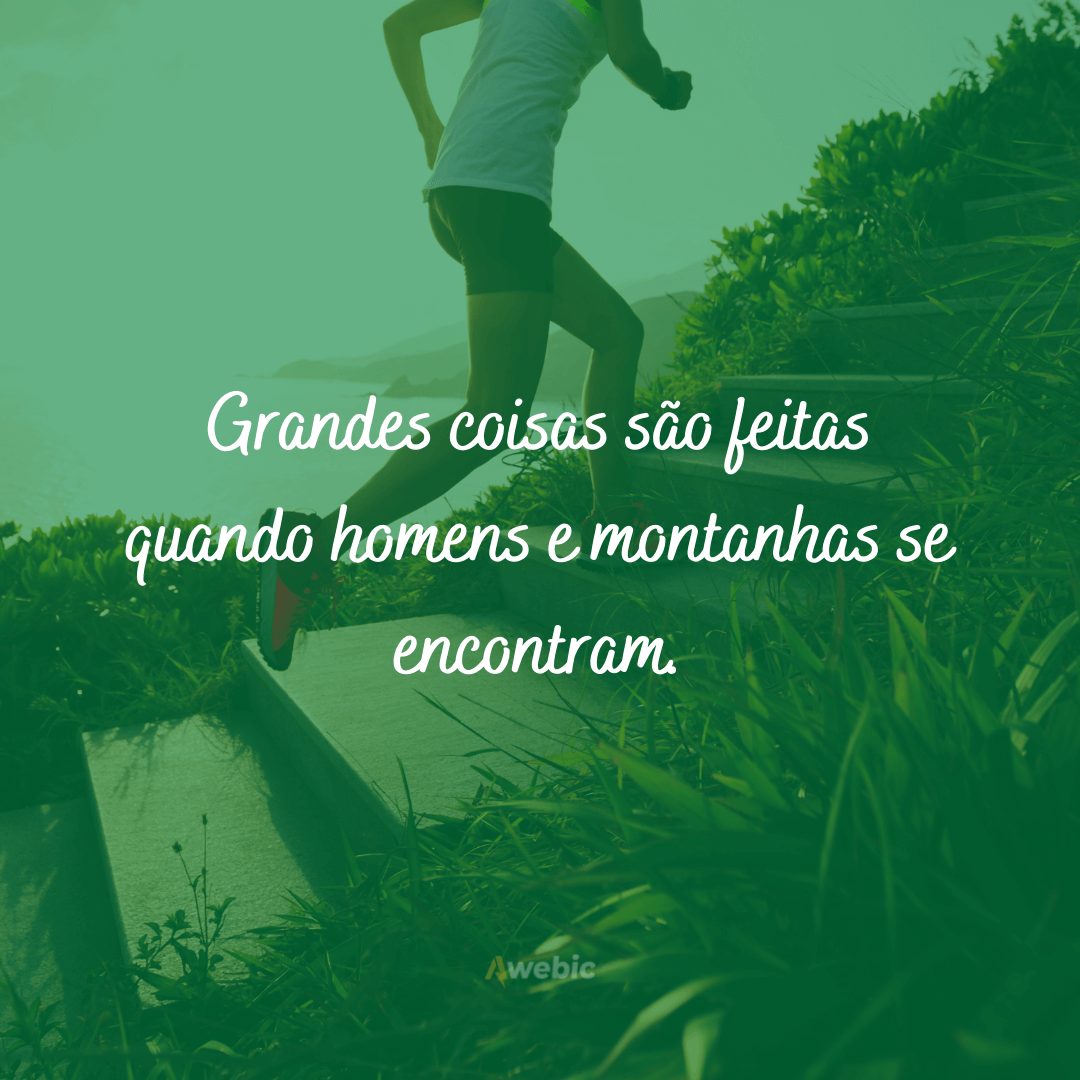 frases sobre determinação