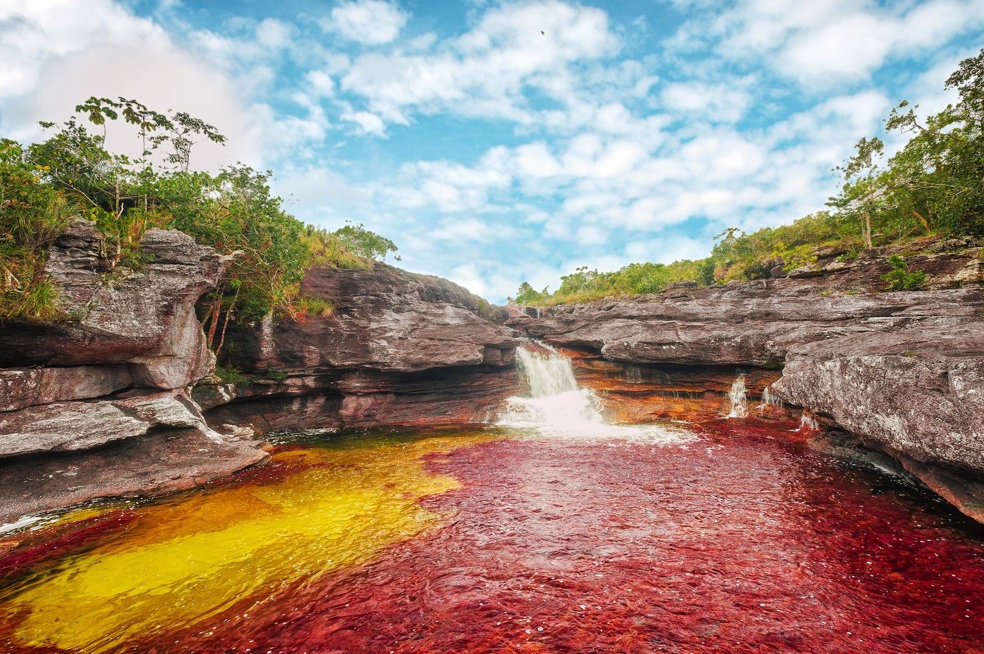 Foto: Mario Carvajal/ www.cano-cristales.com