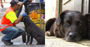 Amizade de cachorro e gari conquista cidade de Minas Gerais