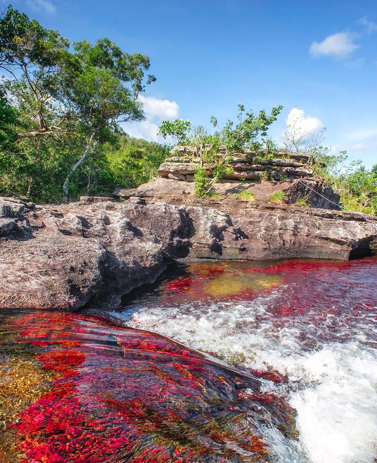 Foto: Mario Carvajal/ www.cano-cristales.com