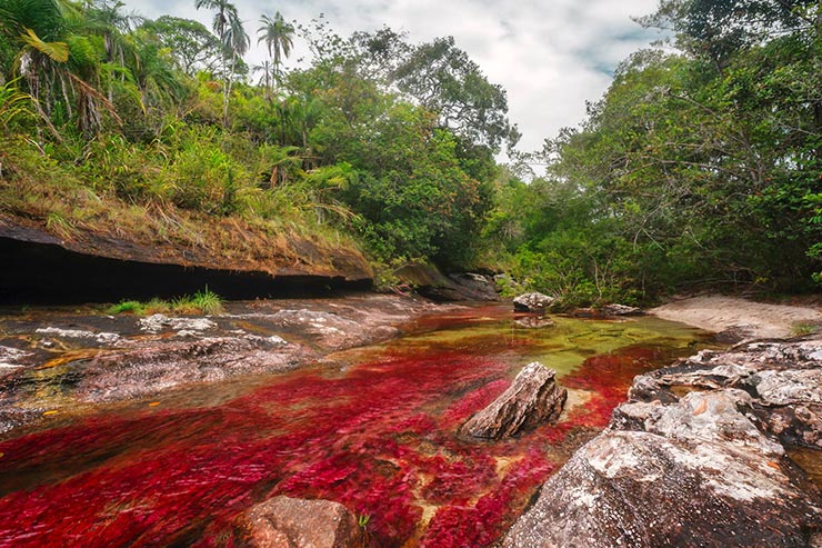 Foto: Mario Carvajal/ www.cano-cristales.com