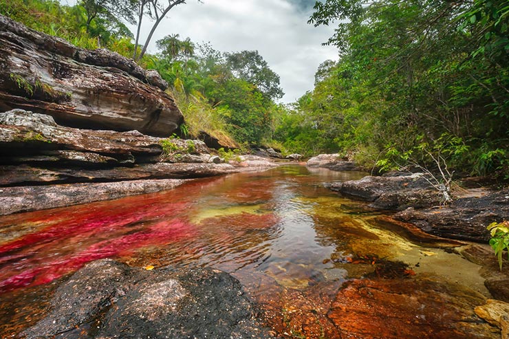 Foto: Mario Carvajal/ www.cano-cristales.com