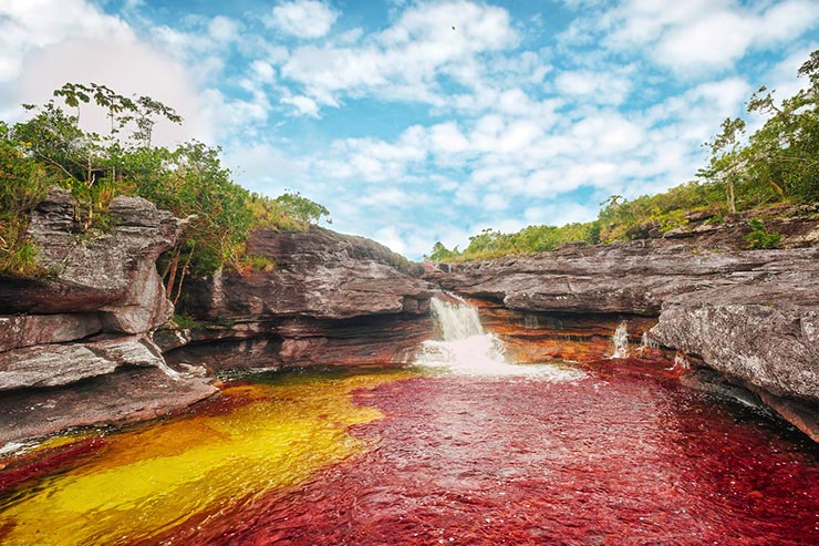 Foto: Mario Carvajal/ www.cano-cristales.com