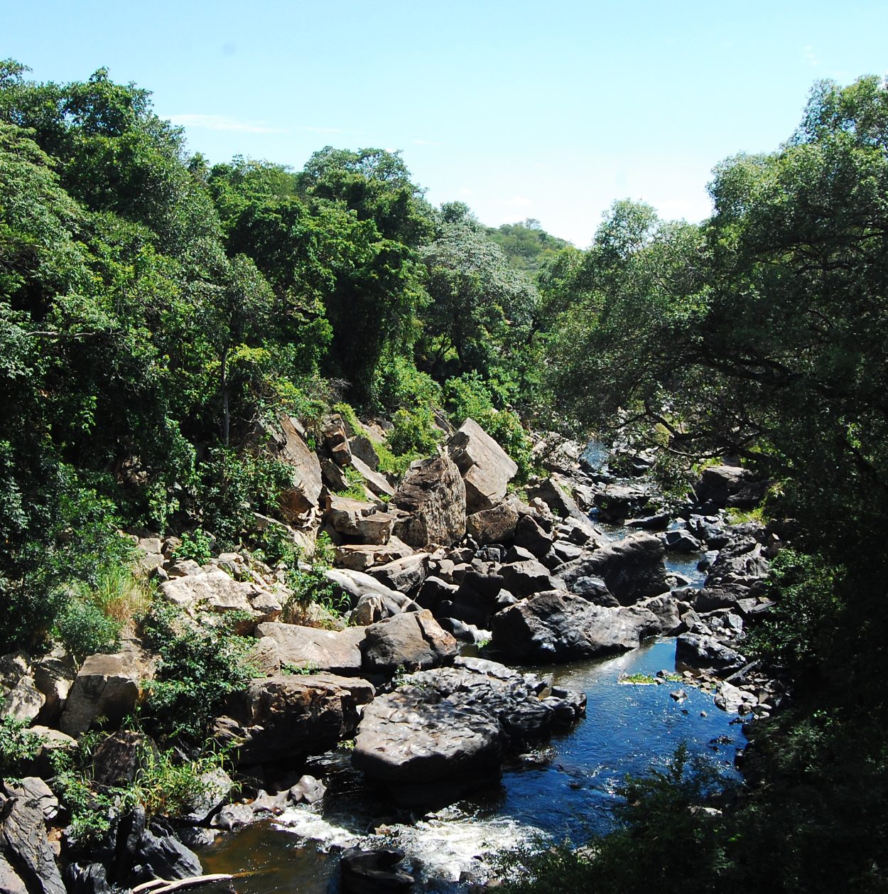 Chapada do Araripe (CE): o destino ideal para uma viagem inesquecível (Imagens: Reprodução/ Geoparque)