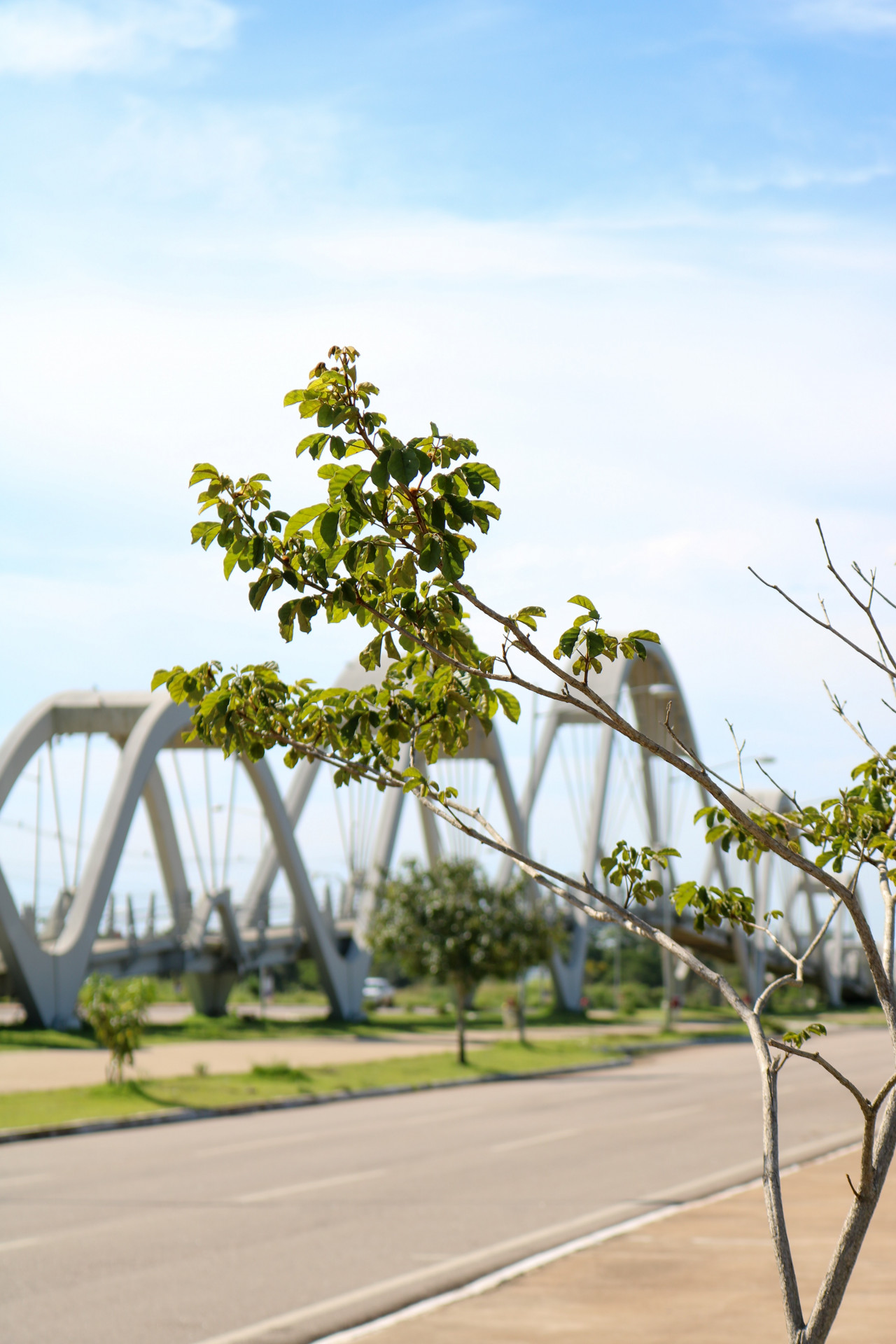 13 destinos turísticos para quem está procurando o que fazer em Porto Velho (Imagens: Pixabay/ Unsplash)