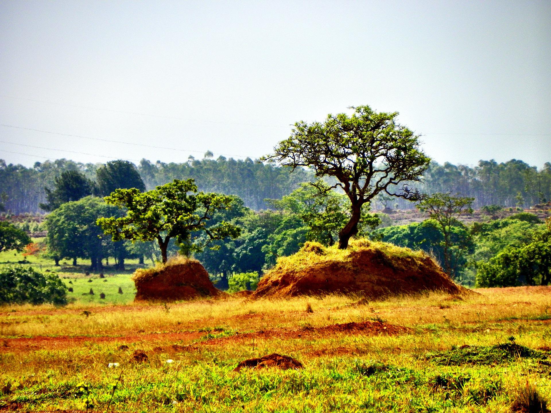 O que fazer em Corumbá de Goiás? Separamos as melhores atividades e roteiros (Fotos: Pixabay/ Francisco Aragão)