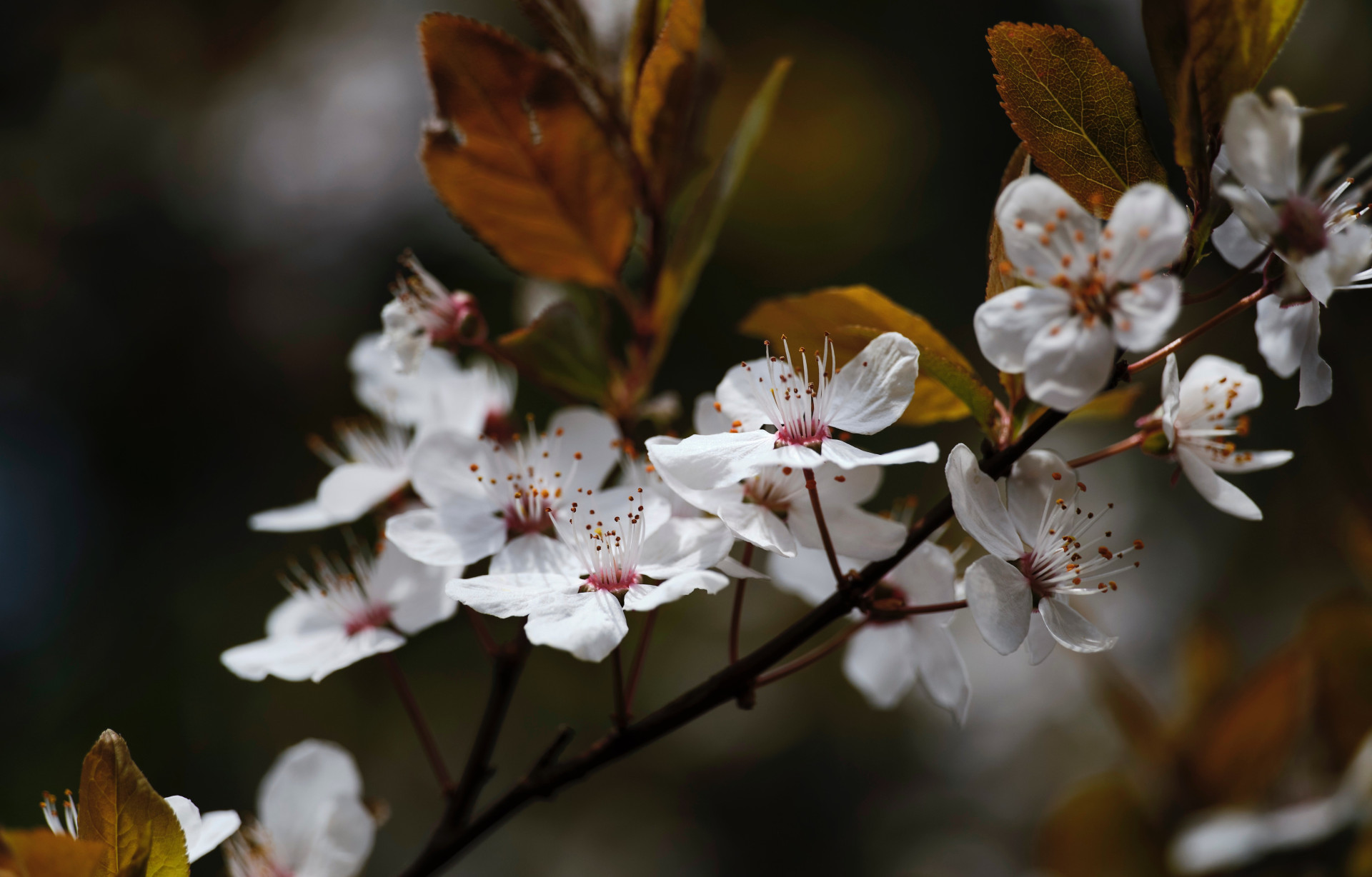 Horóscopo de hoje (25/04): as previsões do seu signo e como será essa semana (Imagens: Unsplash)