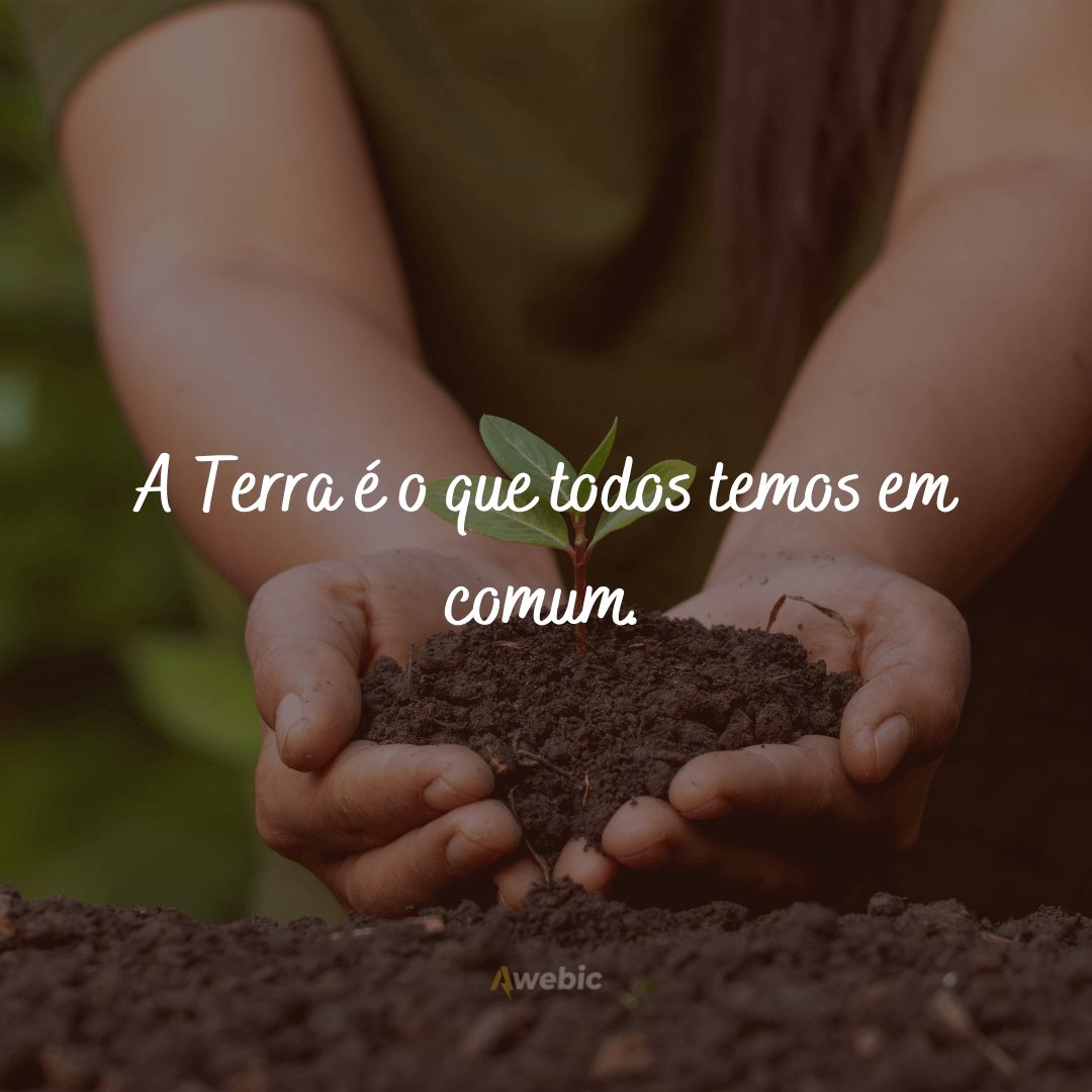 Frases para o Dia do Meio Ambiente