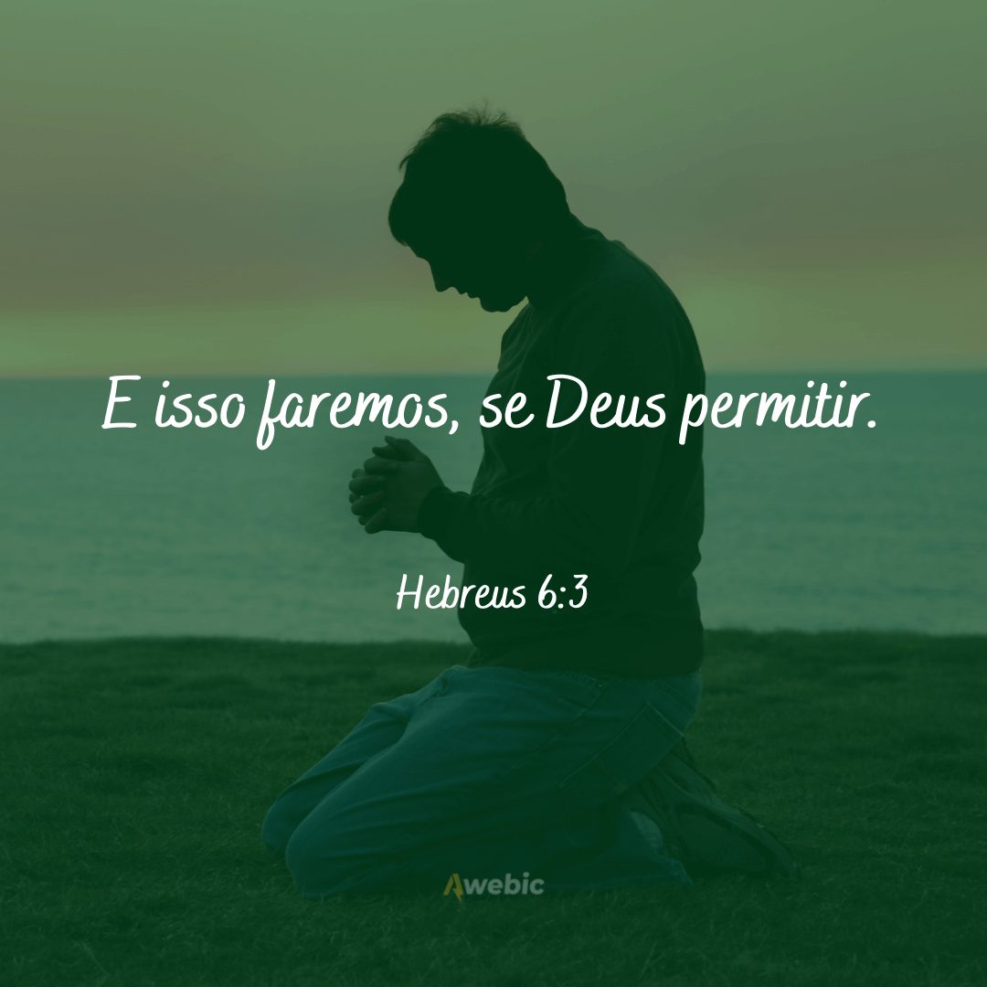 Versículos sobre a vontade de Deus