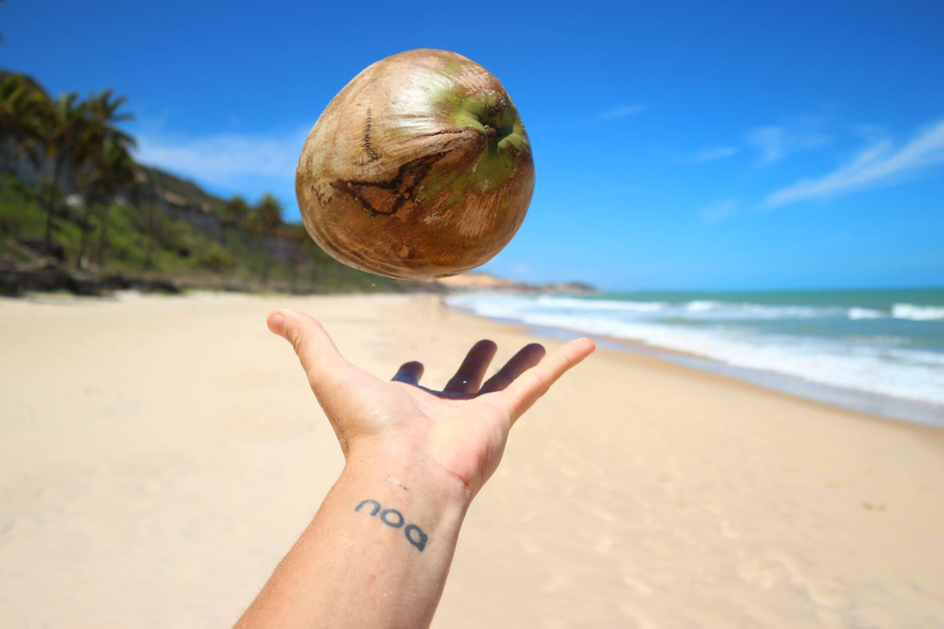 benefícios da água de coco