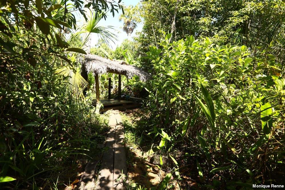 Fervedouros do Jalapão: um dos destinos mais surreais de Tocantins (Imagens: Monique Renne)