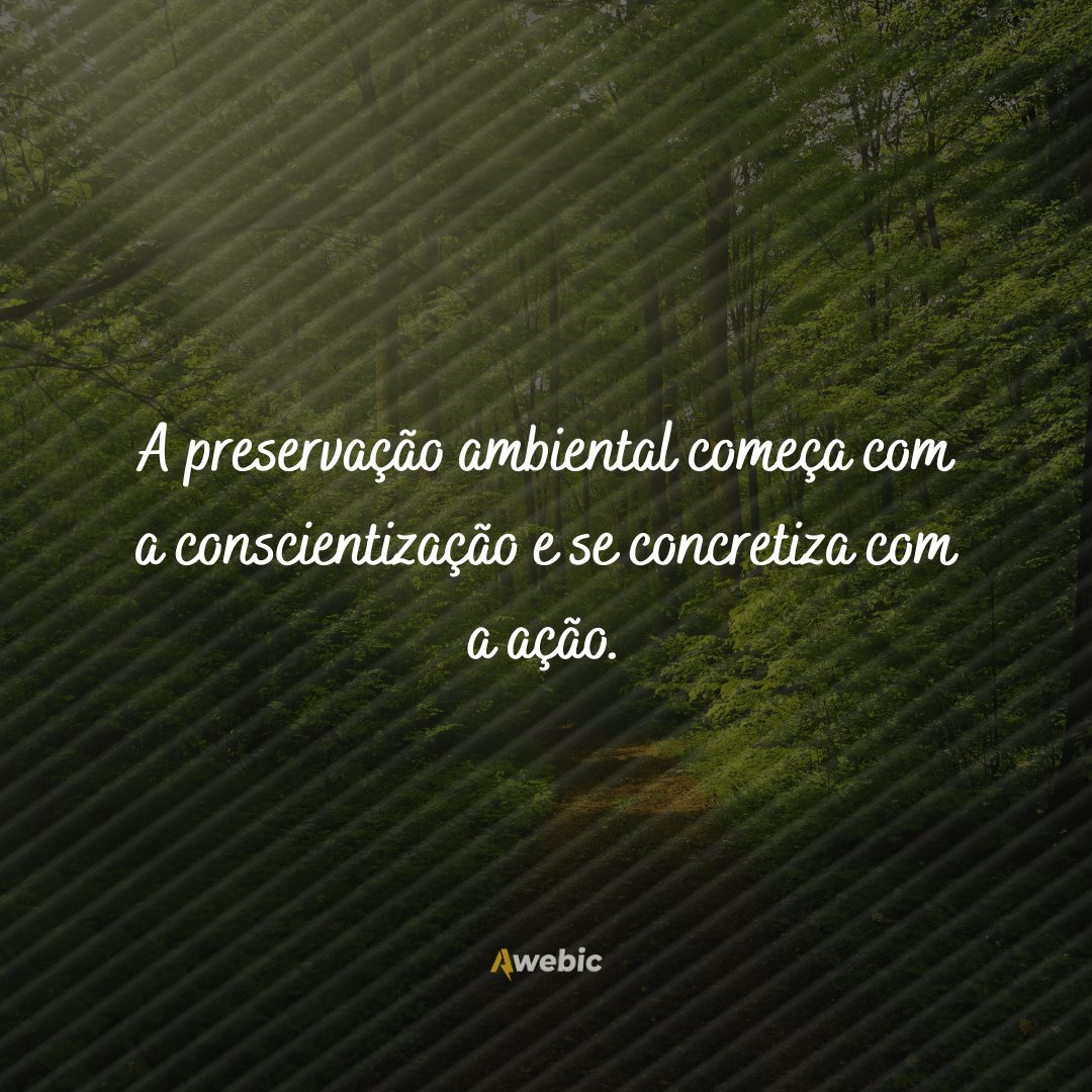 Frases para o Dia do Meio Ambiente