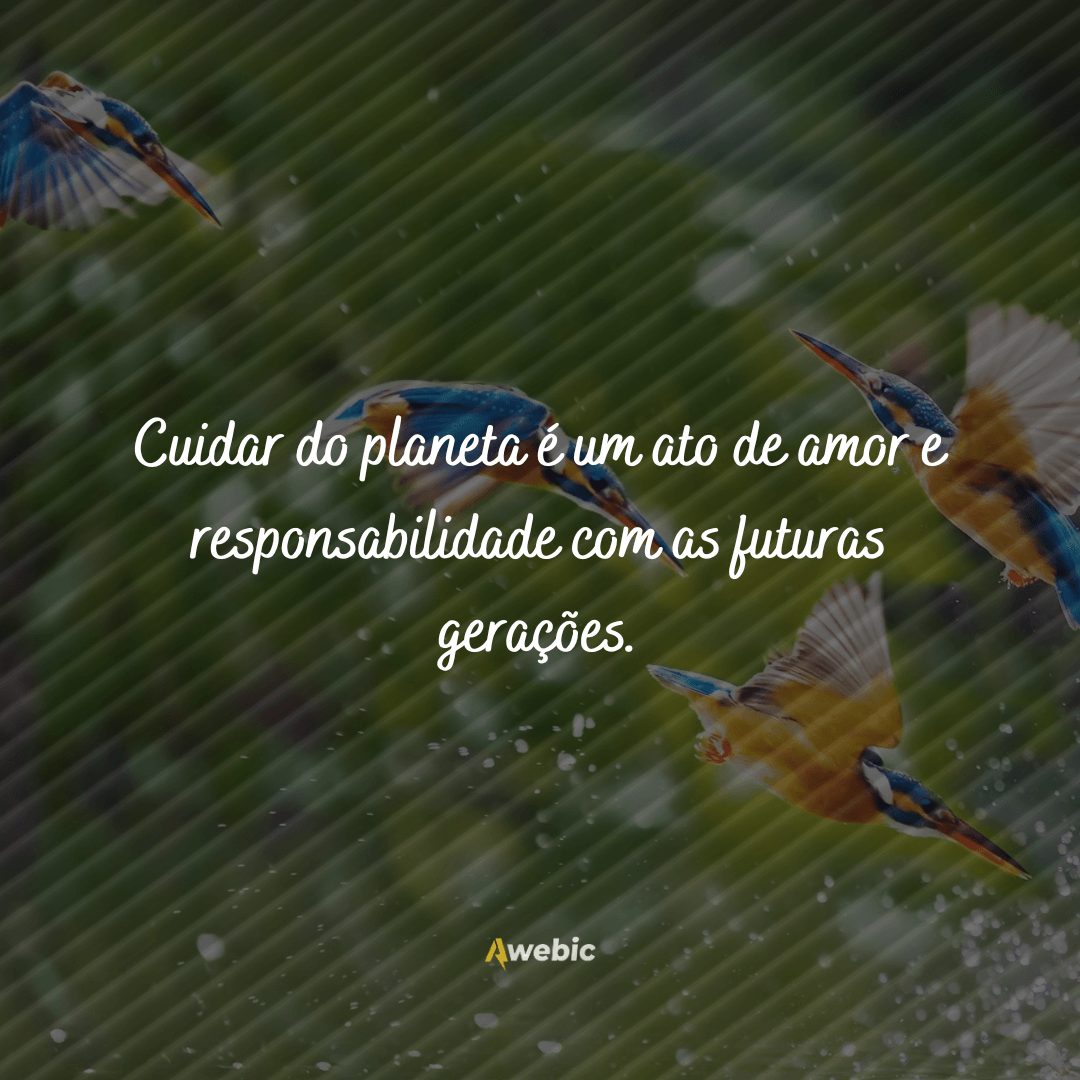 Frases para o Dia do Meio Ambiente