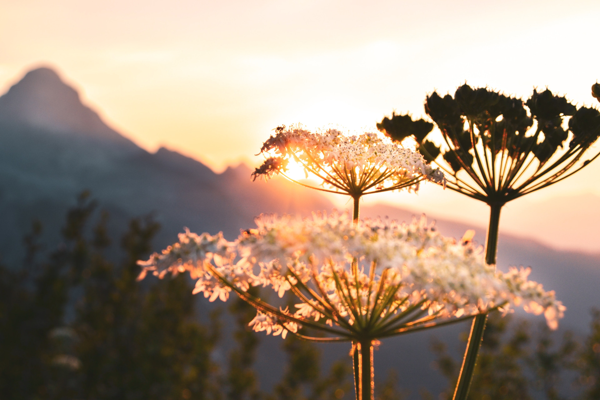 Horóscopo (23/05) as previsões dos signos para essa semana agitada (Imagens: Unsplash)