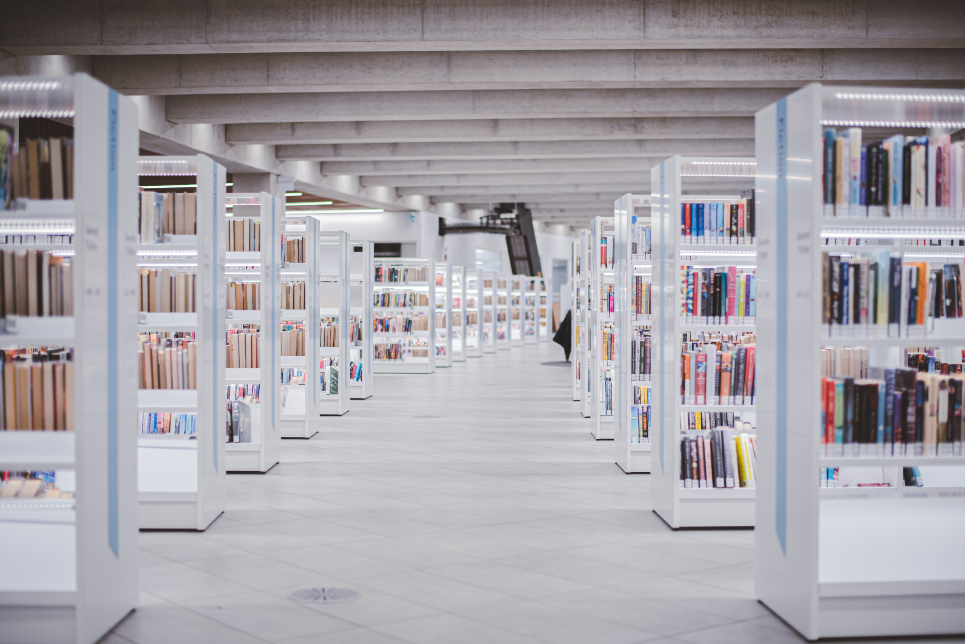 12 livrarias em Palmas que todo leitor precisa conhecer e visitar (Imagens: Unsplash)