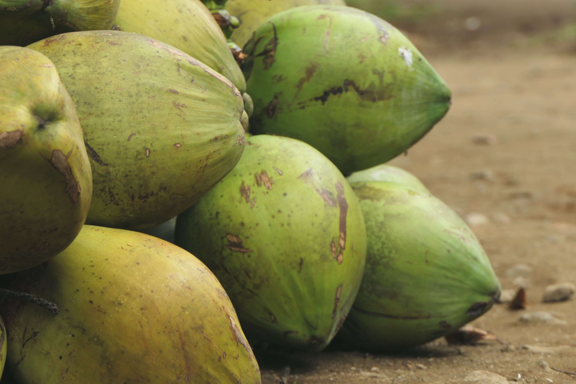 benefícios da água de coco