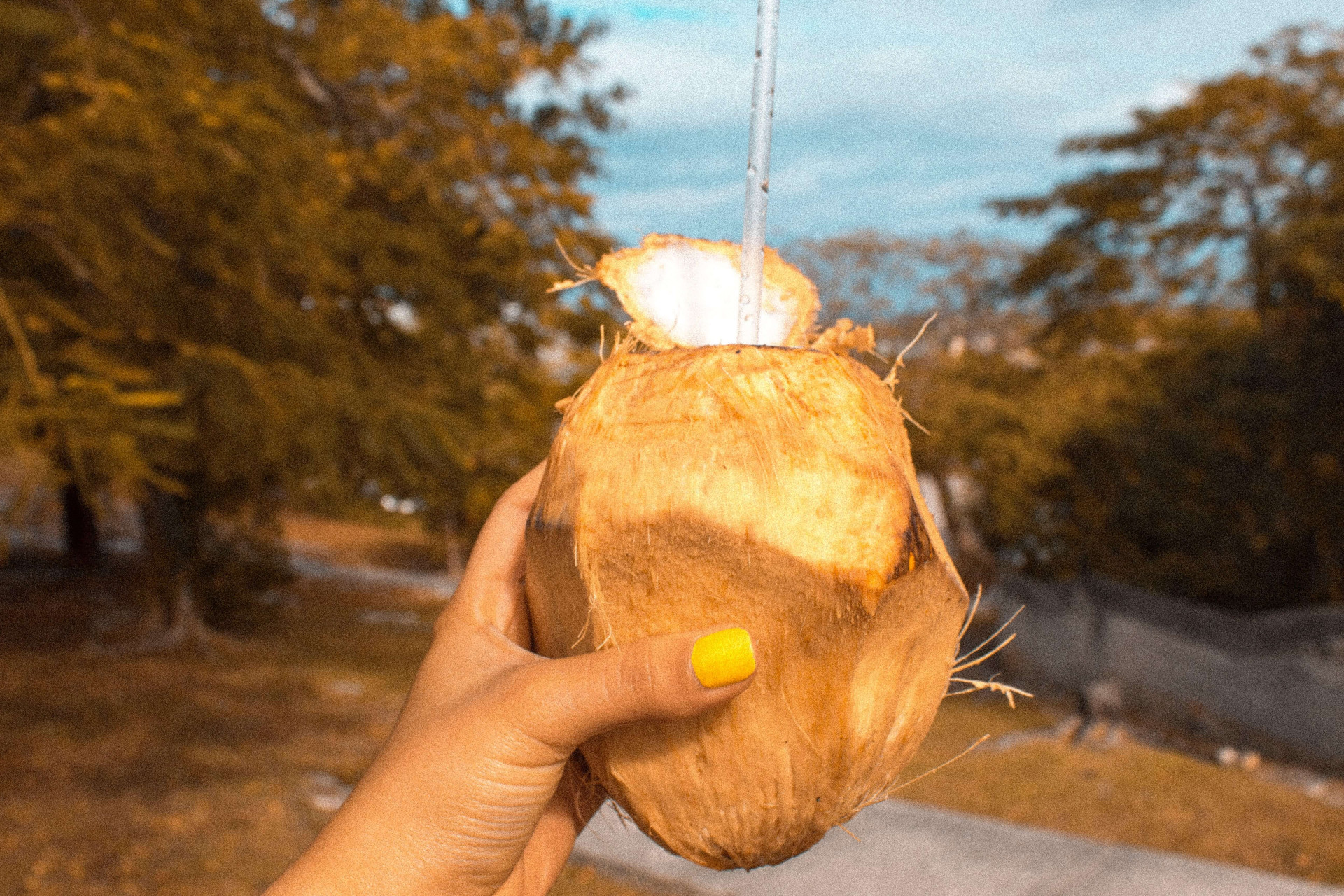 benefícios da água de coco