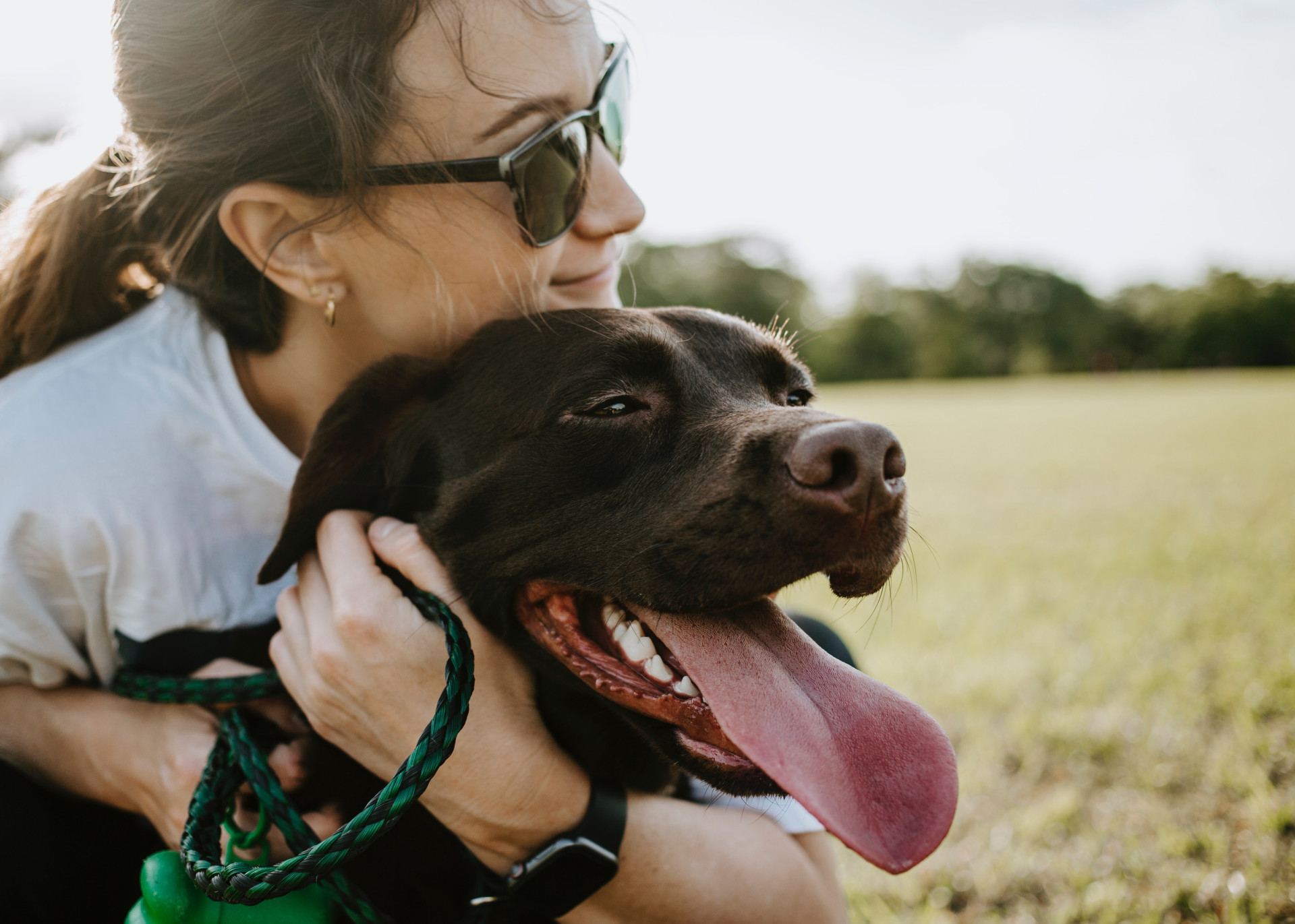 Documentos necessários para viajar com cachorro: quais são e como conseguir TODOS eles (Imagens: Unsplash)