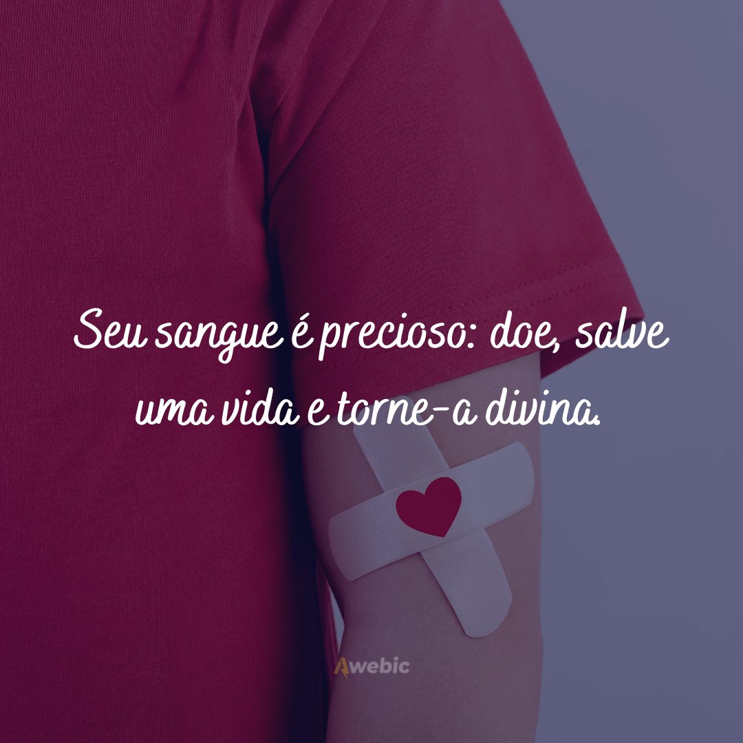 Frases sobre doar sangue