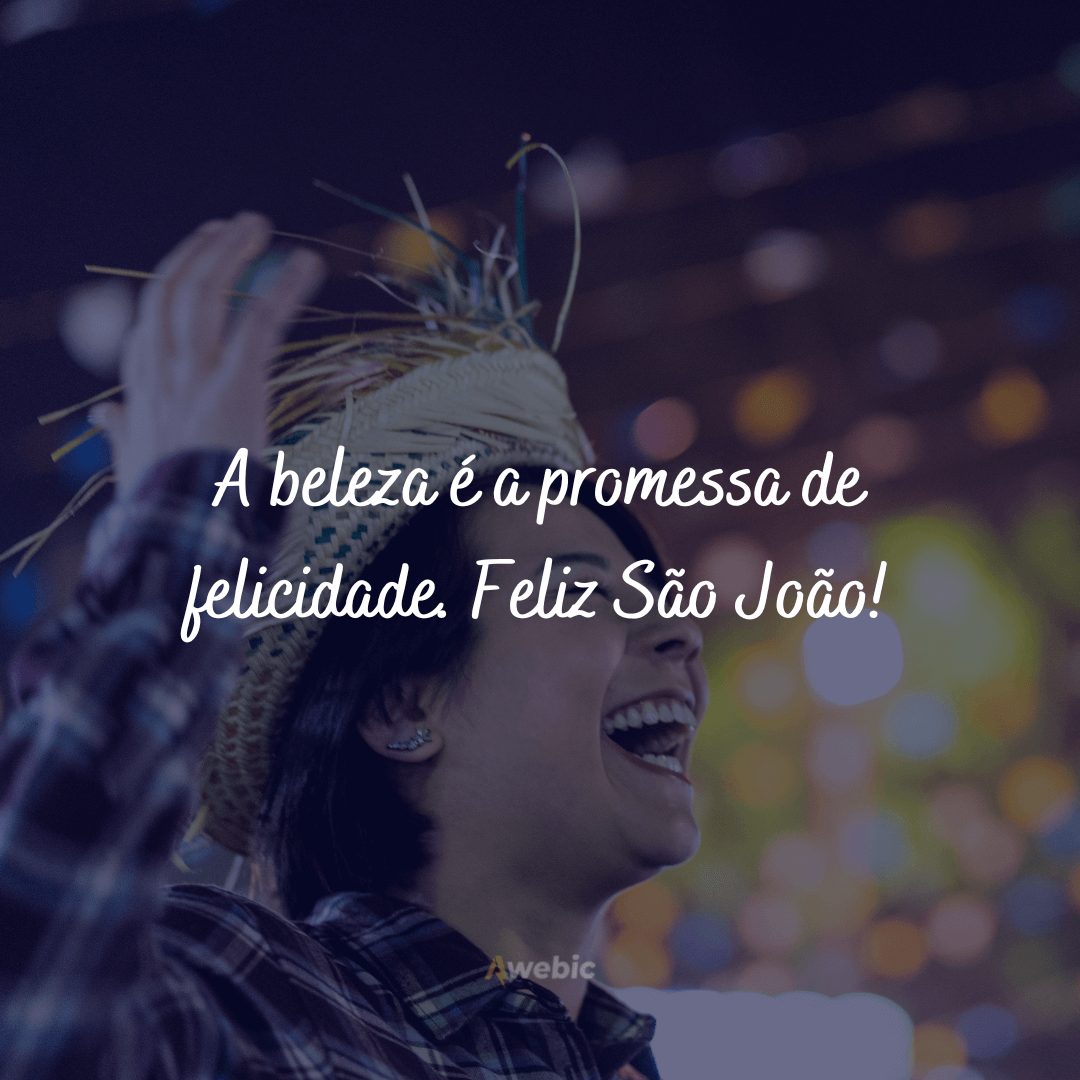 Frases engraçadas de festa junina