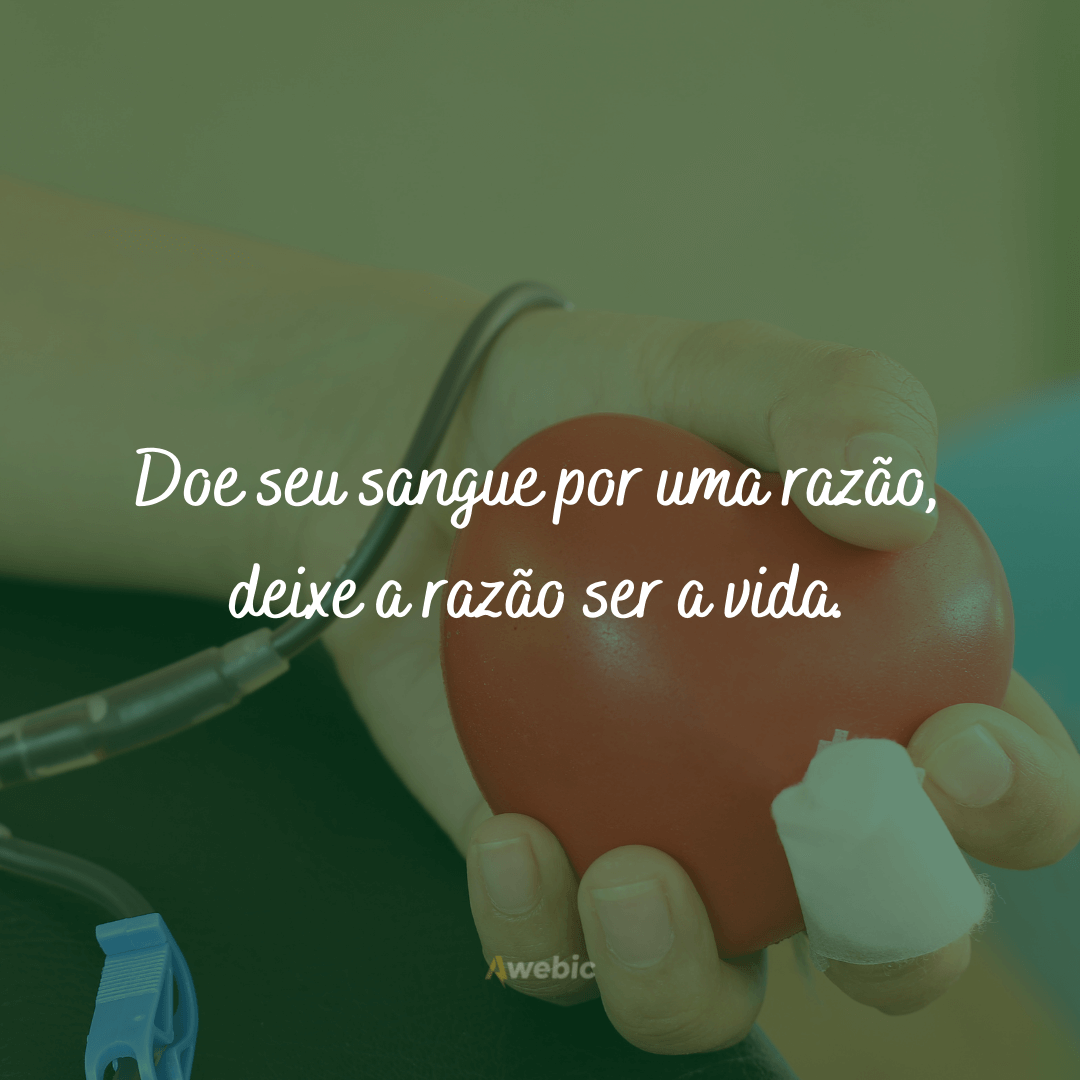 Frases sobre doar sangue