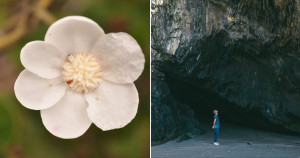 Visite a Gruta do Maquiné e tenha uma das melhores experiências da sua vida