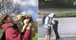 Ao passar por sua janela com cachorros, jovem sempre faz surpresa romântica e fofa para namorada