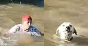 Rapaz salva vida de cachorro que estava se afogando em rio no Ceará