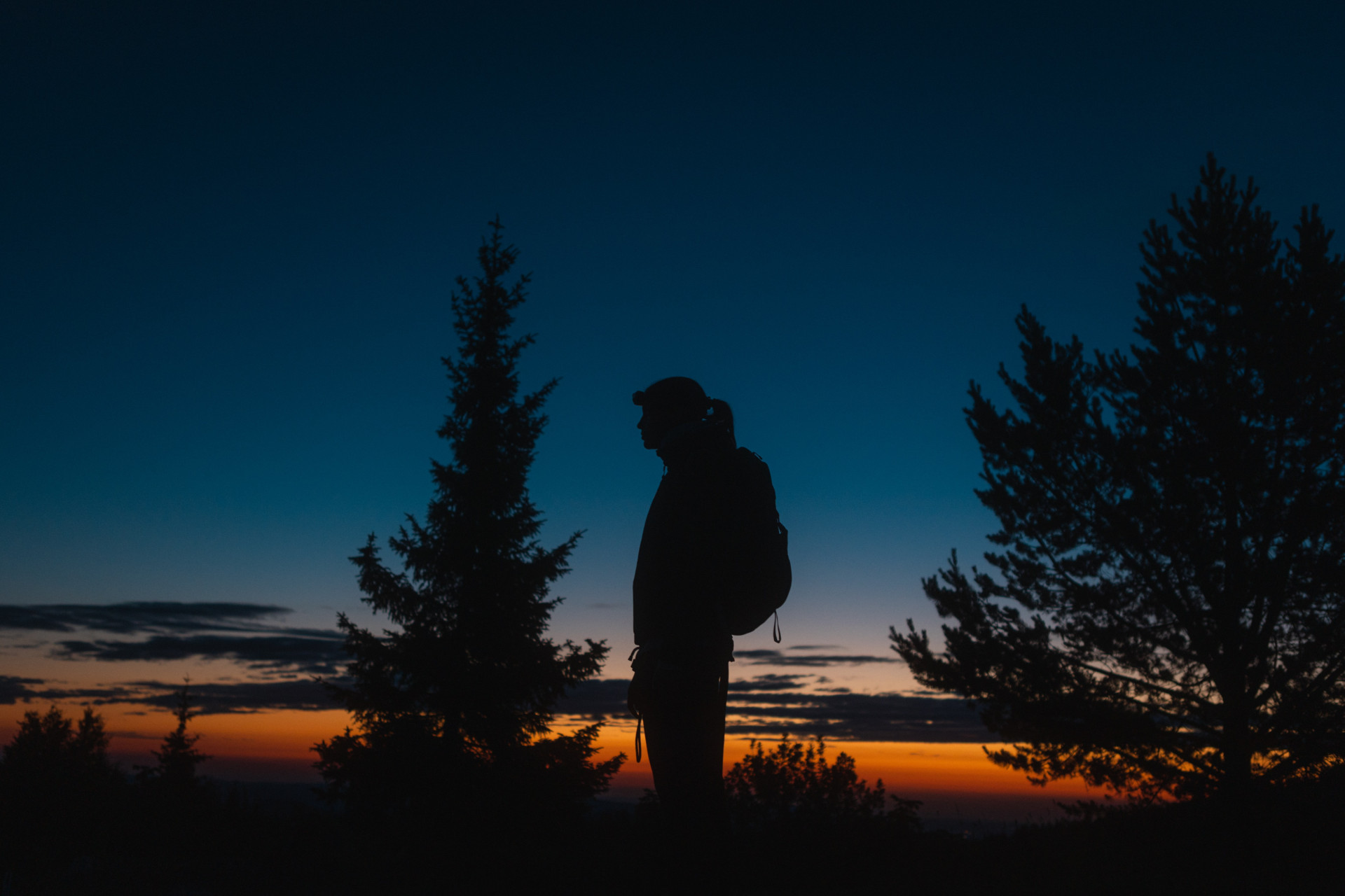 Horóscopo do dia e como a terça (28/06) vai ficar agitadinha para alguns signos (Imagens: Unsplash)