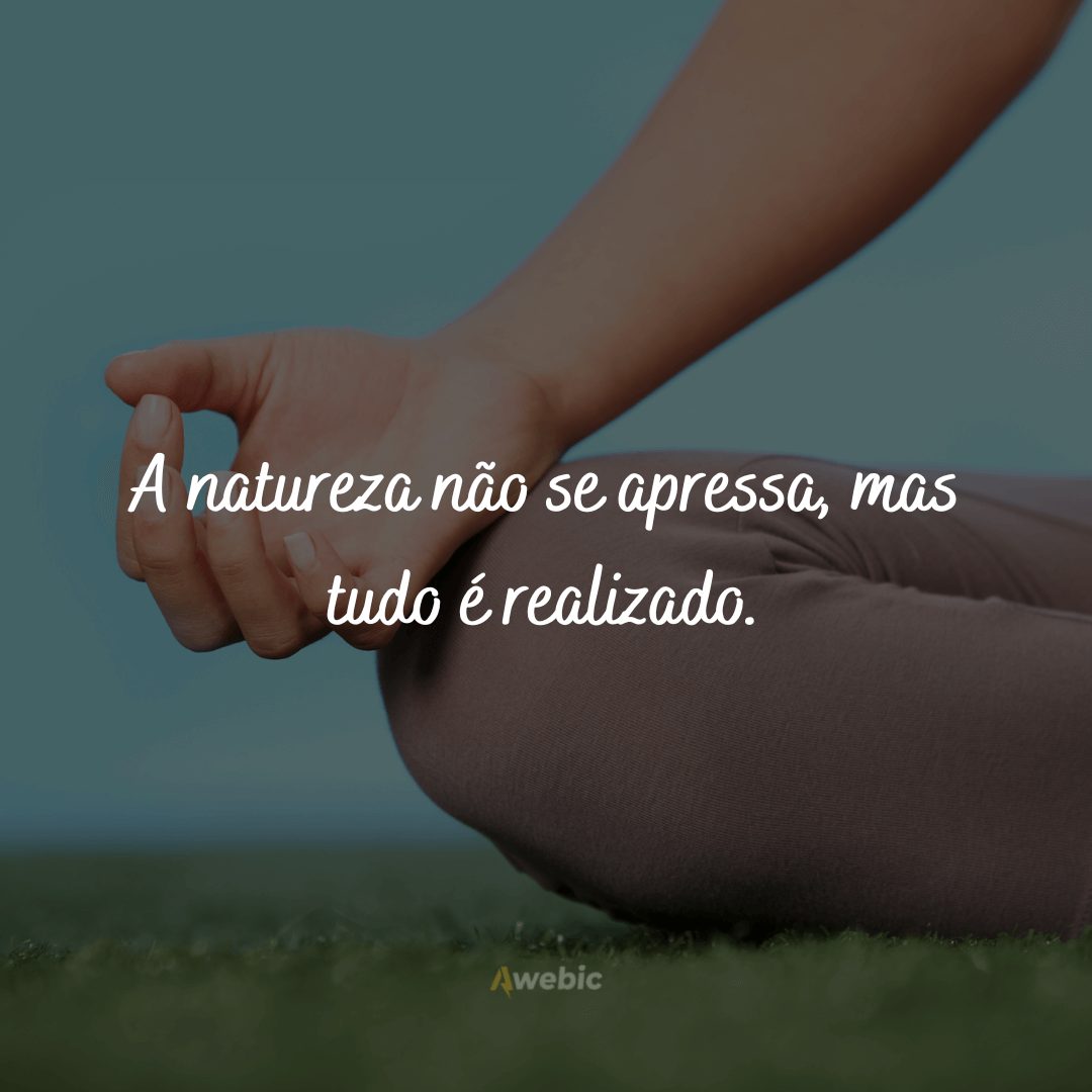 Frases de paciência