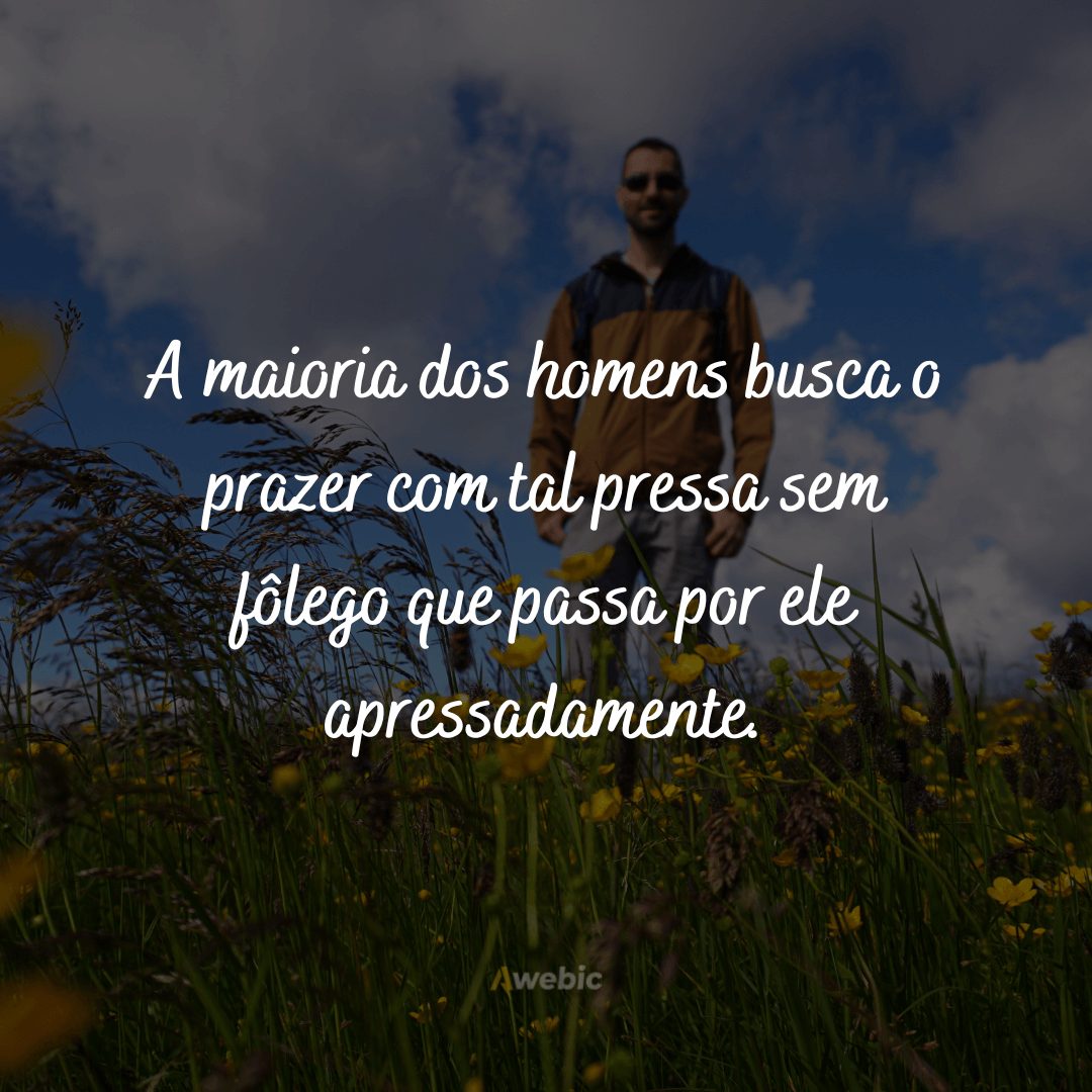 Frases de paciência