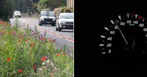 Vila da Inglaterra resolve problema de velocidade dos motoristas na estrada com apenas um agente da natureza