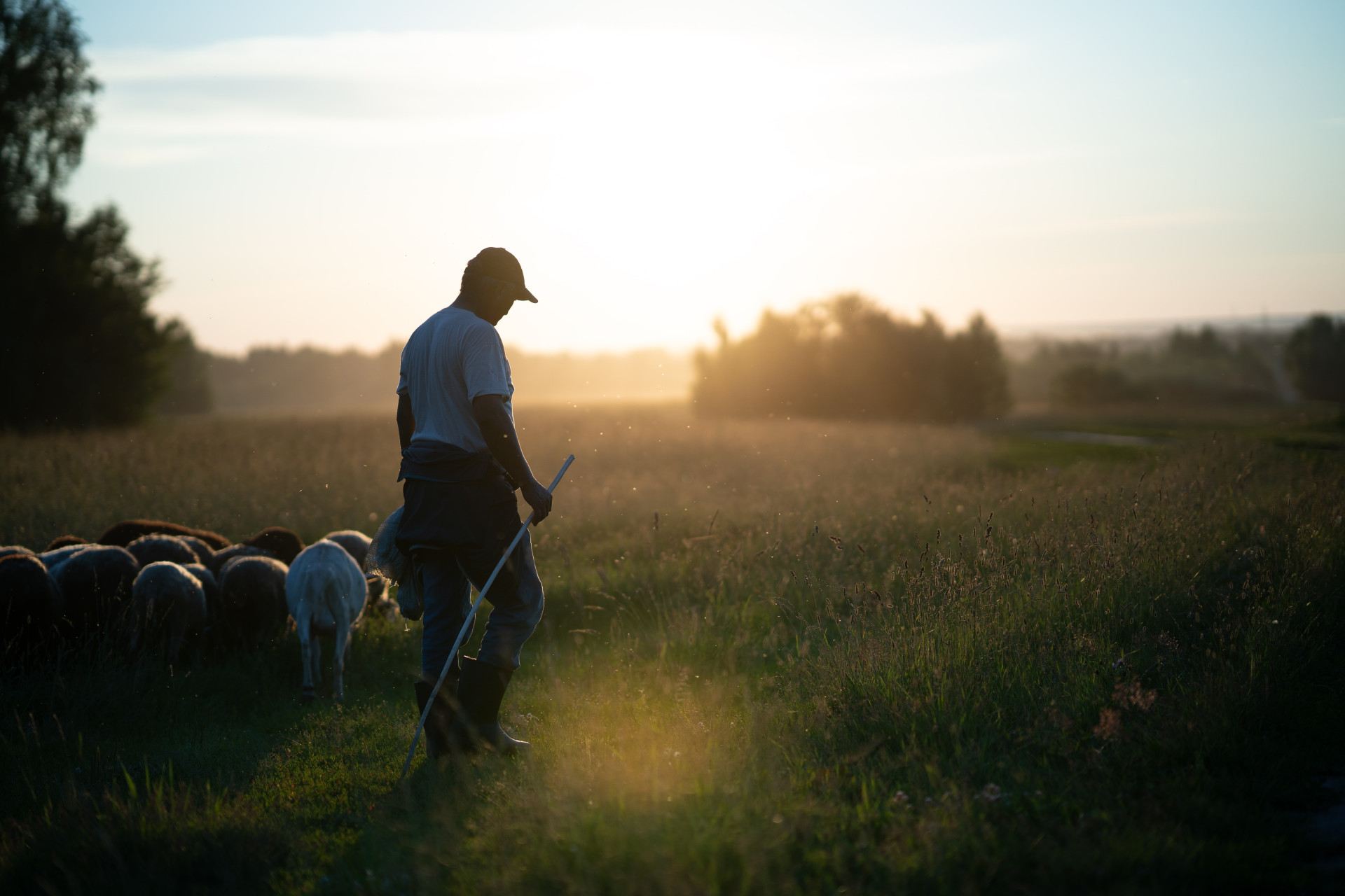 Horóscopo de terça-feira (12/07): como será o seu dia? (Imagens: Unsplash)