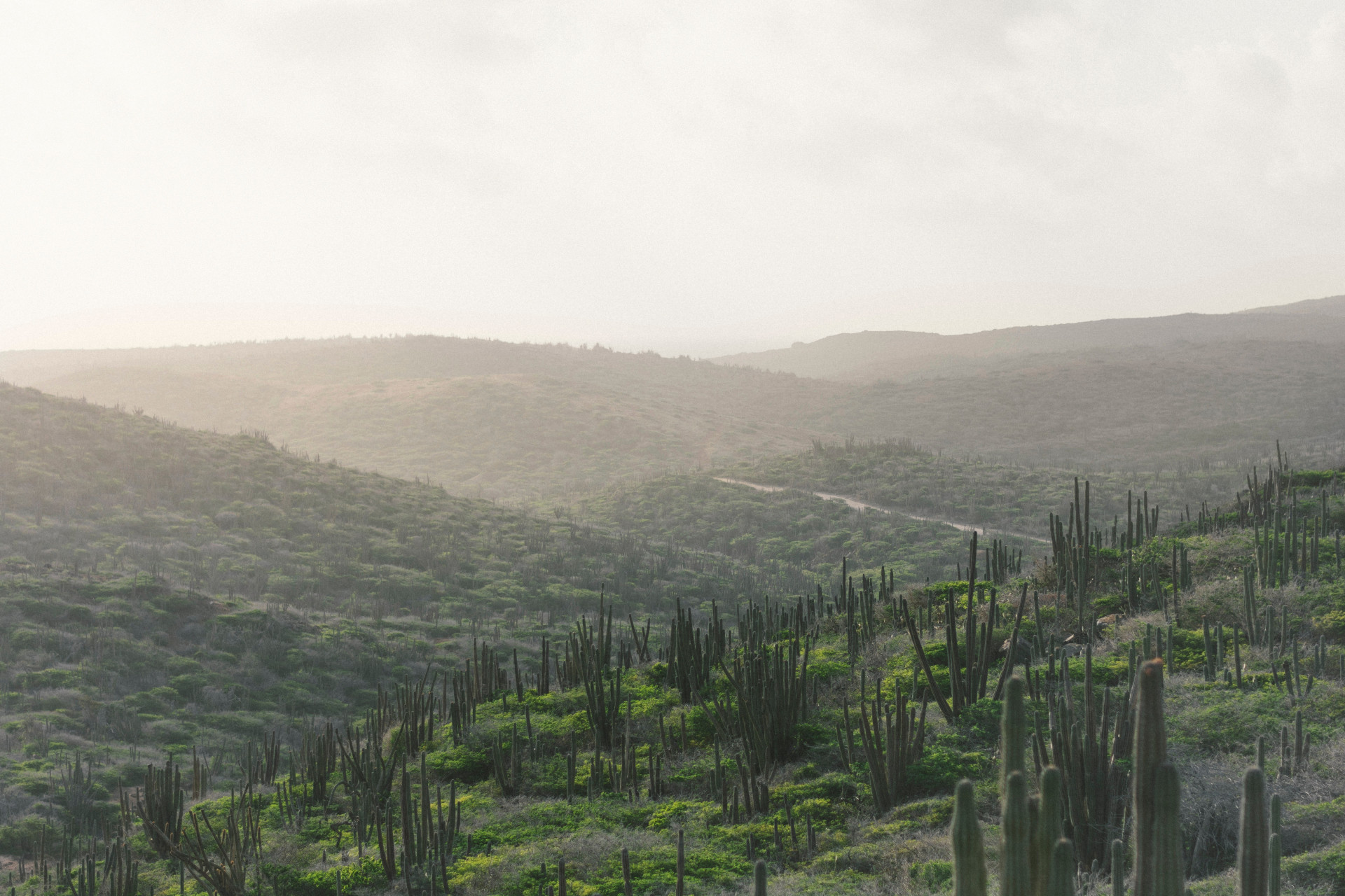 Parque Nacional Arikok: seu próximo destino dos sonhos é esse (Imagens: Unsplash)