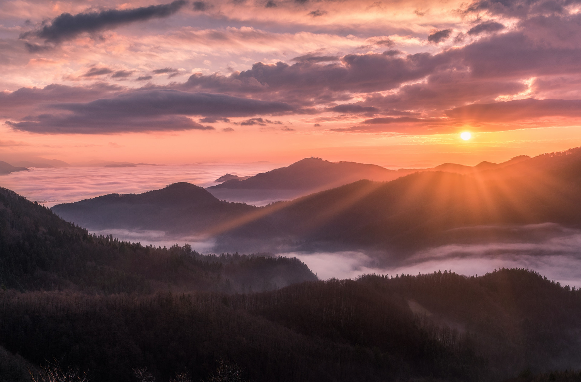 Horóscopo de sábado (09/07) e as previsões para o seu final de semana (Imagens: Unsplash)