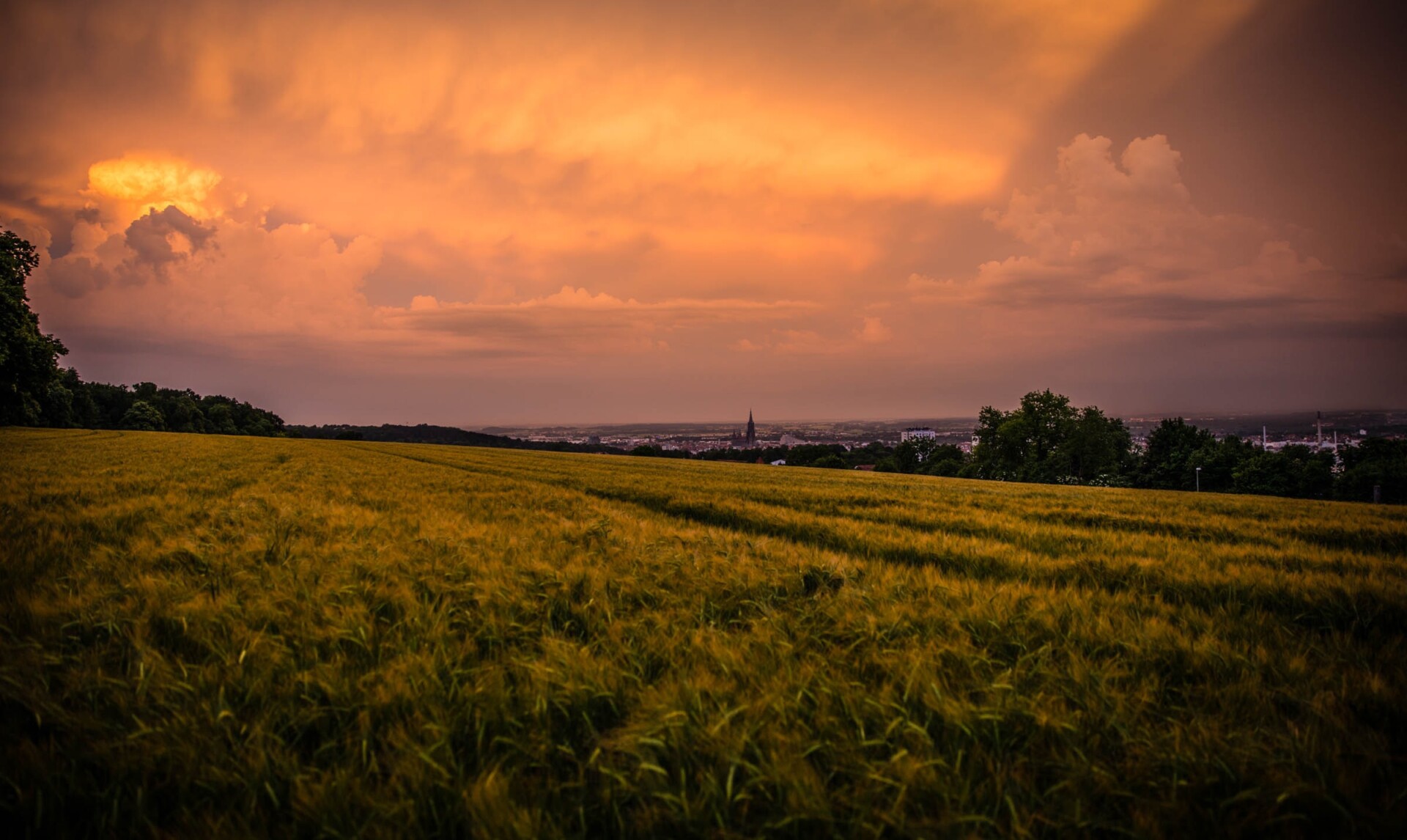 Horóscopo de hoje (23/07) e as agitações que ocorrerão para alguns signos (Imagens: Unsplash)