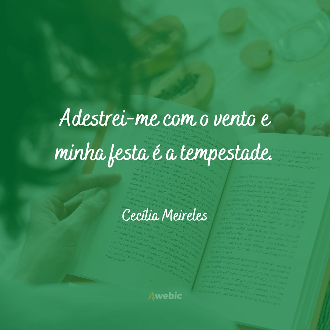 Frases de Cecília Meireles