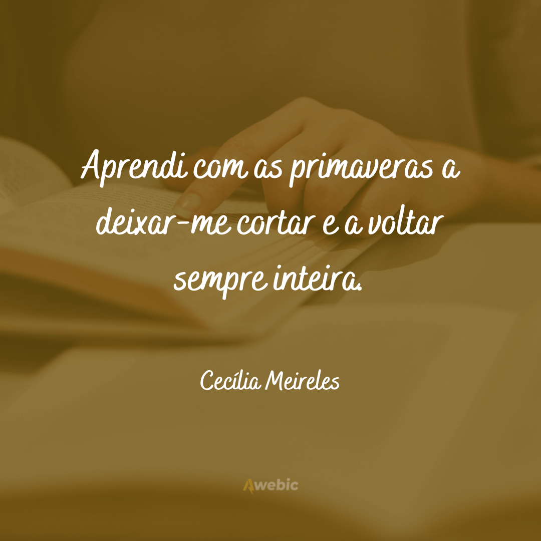 Frases de Cecília Meireles