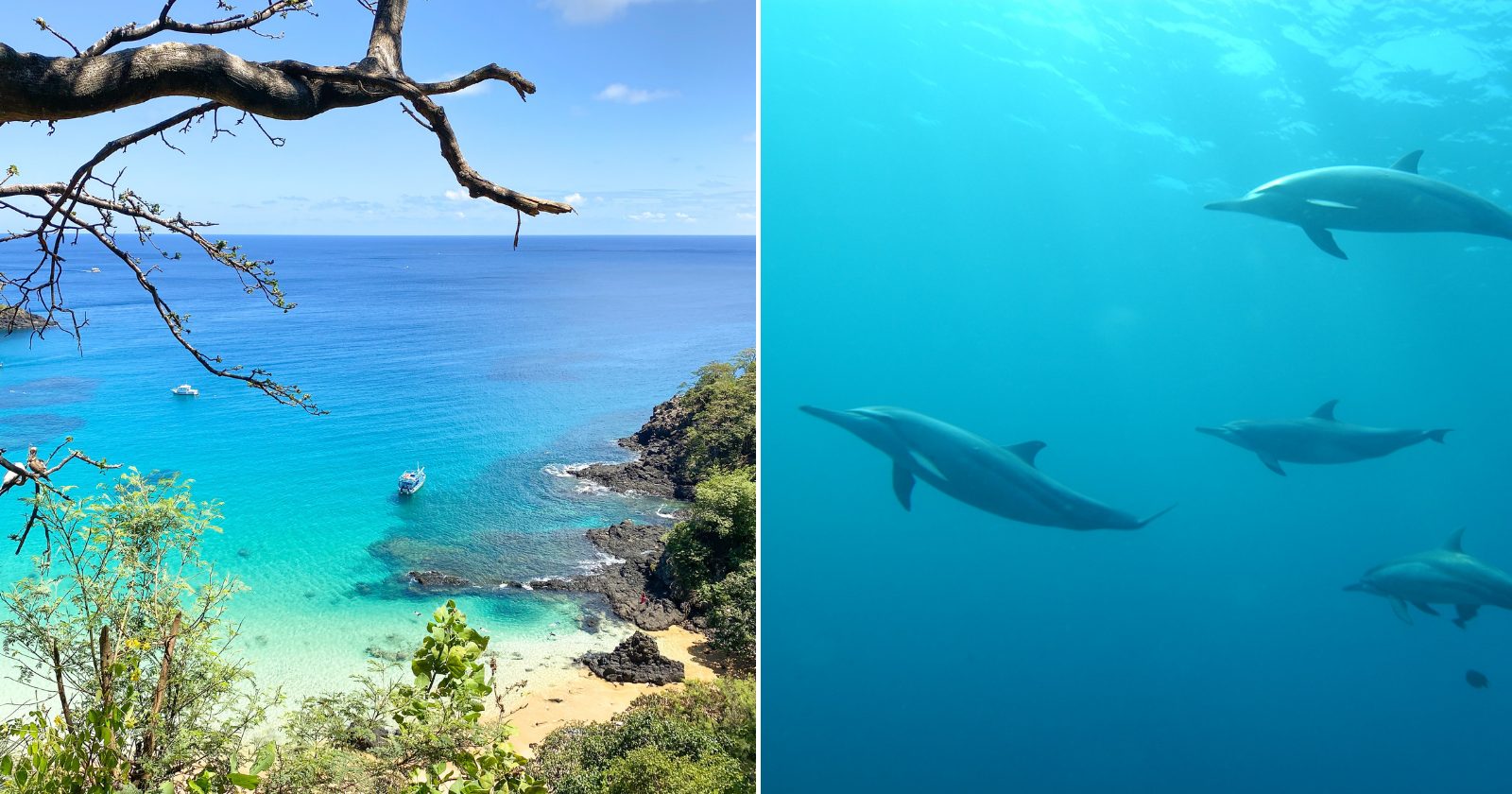 A melhor praia brasileira para visitar em AGOSTO: é mais um Caribe brasileiro para sua lista