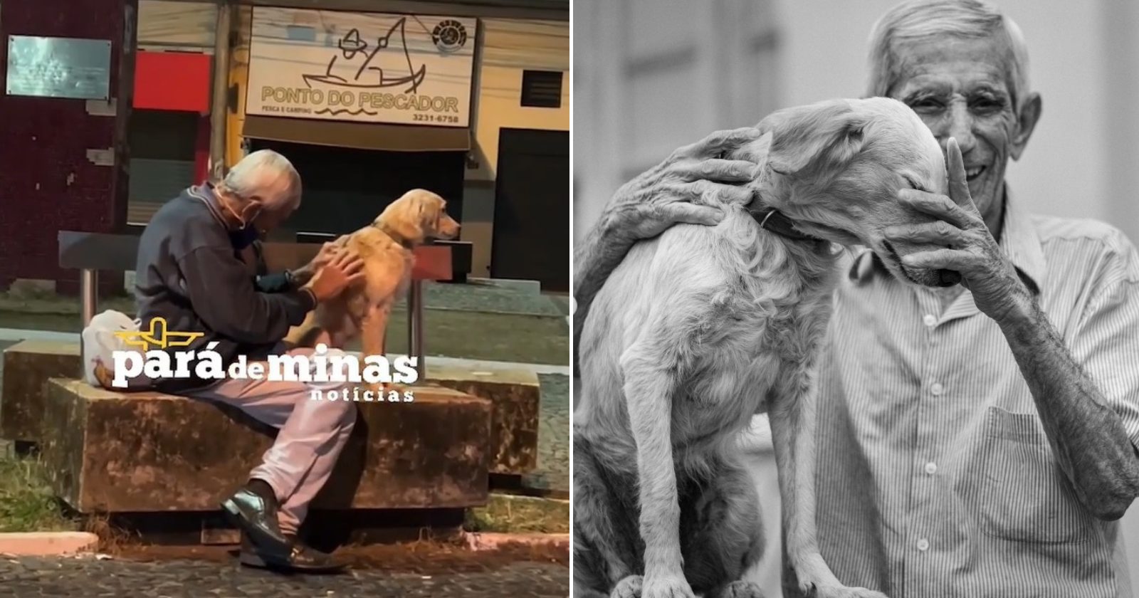 Idoso e seu melhor amigo, o cãozinho Bob, foram fotografados por uma profissional e o resultado é de encher os olhos de lágrima