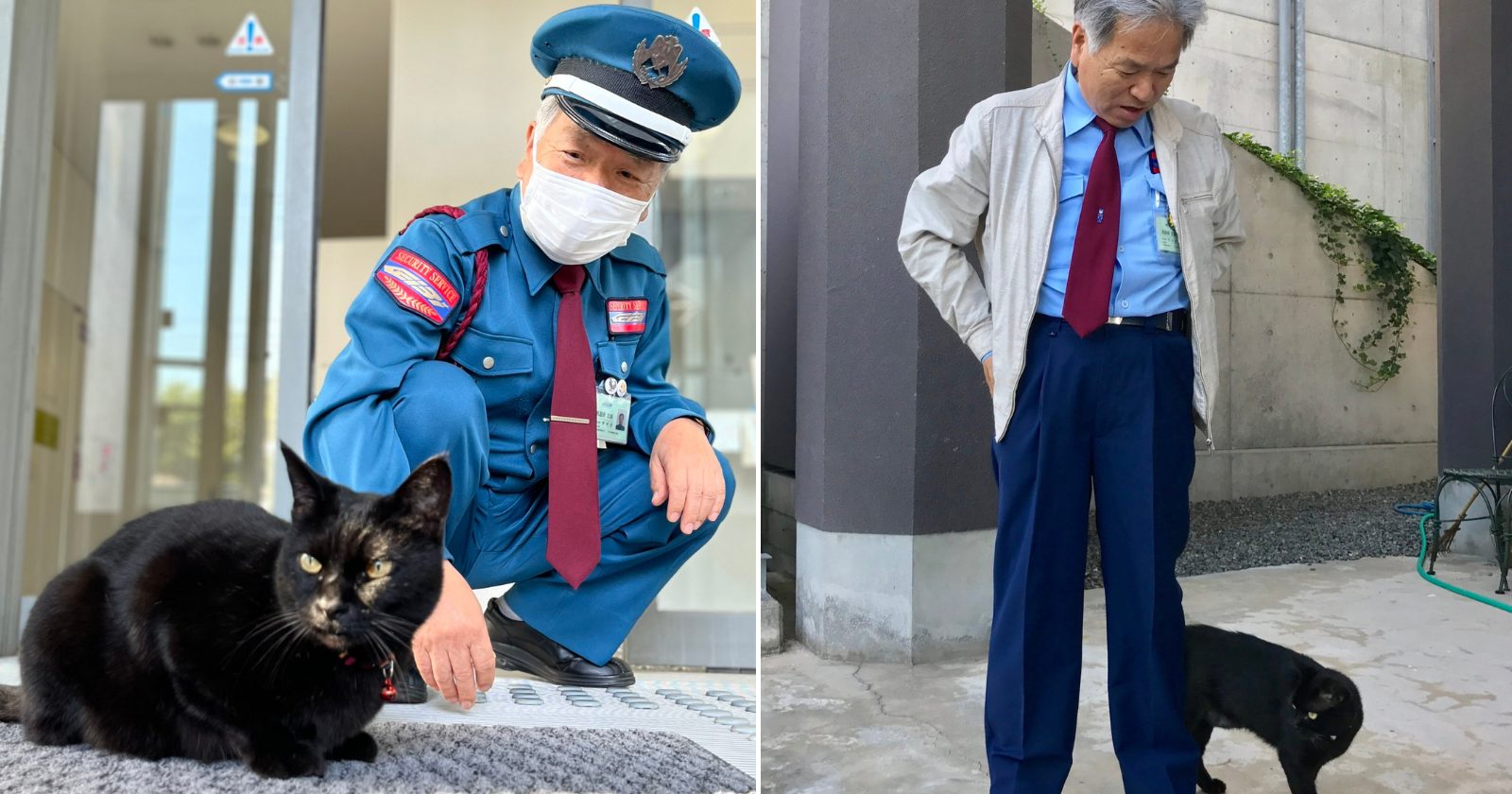 Gatinhos fazem visitas diárias em museu do Japão e viralizam nas redes sociais. Confira!